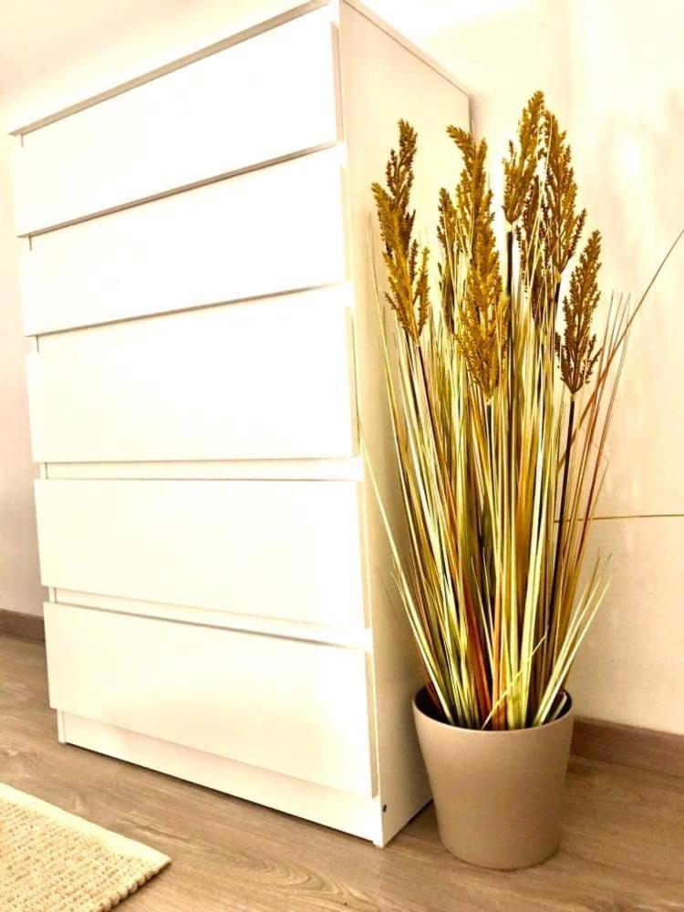 Rose Apartmann Apartment Budapest